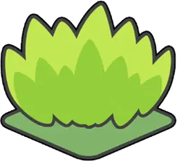 Hautes herbes en altitude